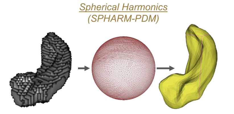 Shape Analysis